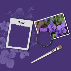 Акрилна боя за мебели, сатен - цвят Виолетов - 750 ml